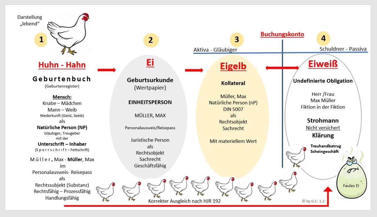 Huhn-Ei_2.jpg