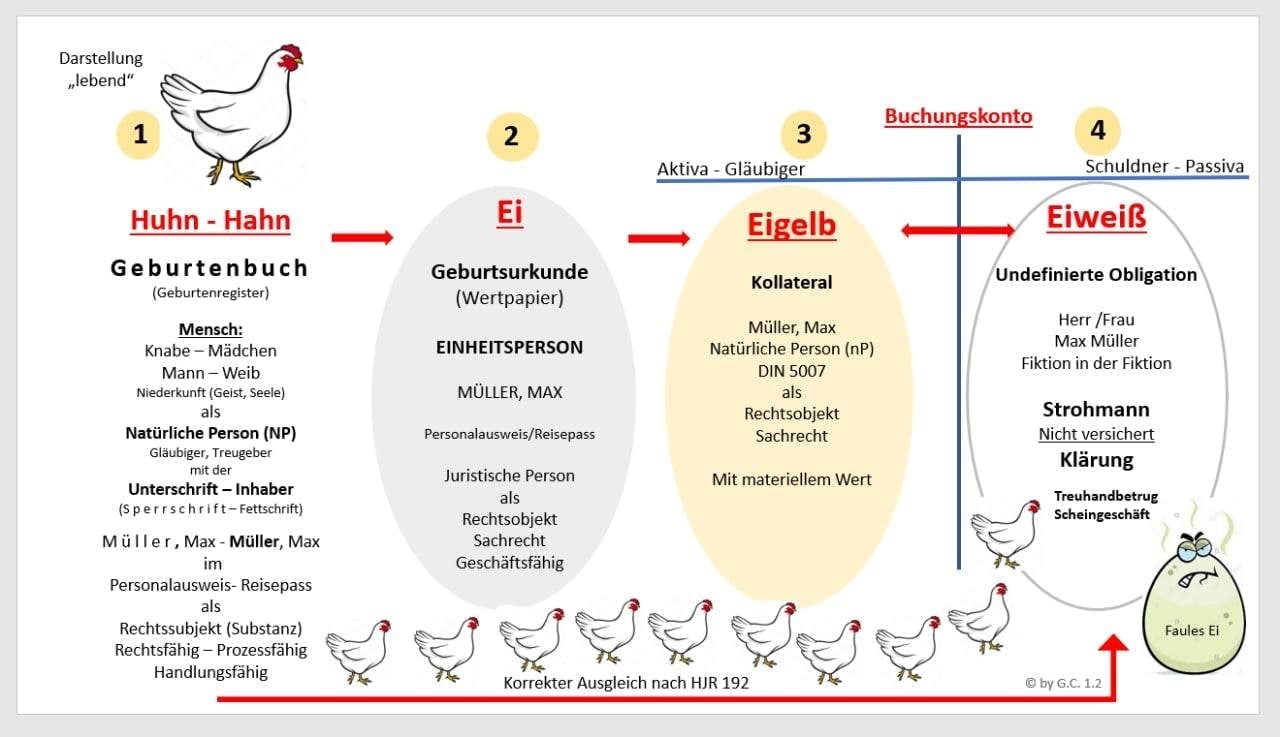 Huhn-Ei_Grafik_2-3.jpg